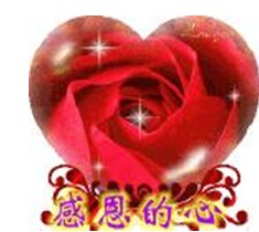 石家庄车市:北二环盛美政府采购展览会 奔腾B